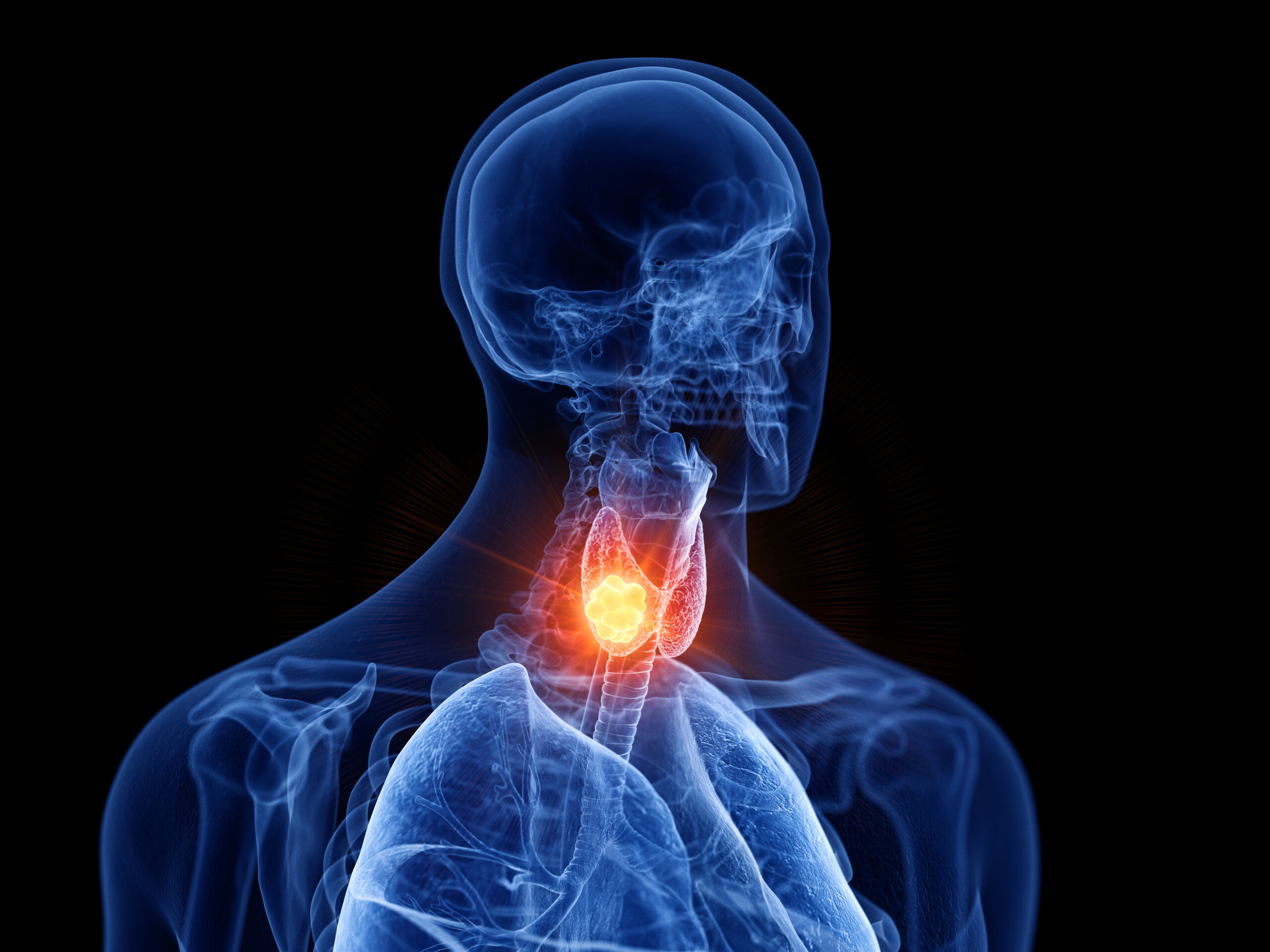 Thyroid Awareness Month: Symptoms, Screening, and Support